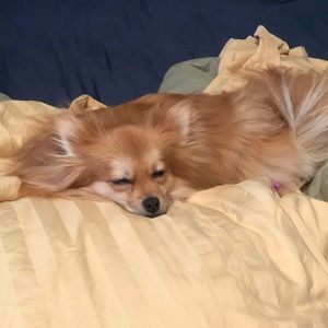 Meet your Posher, Mike